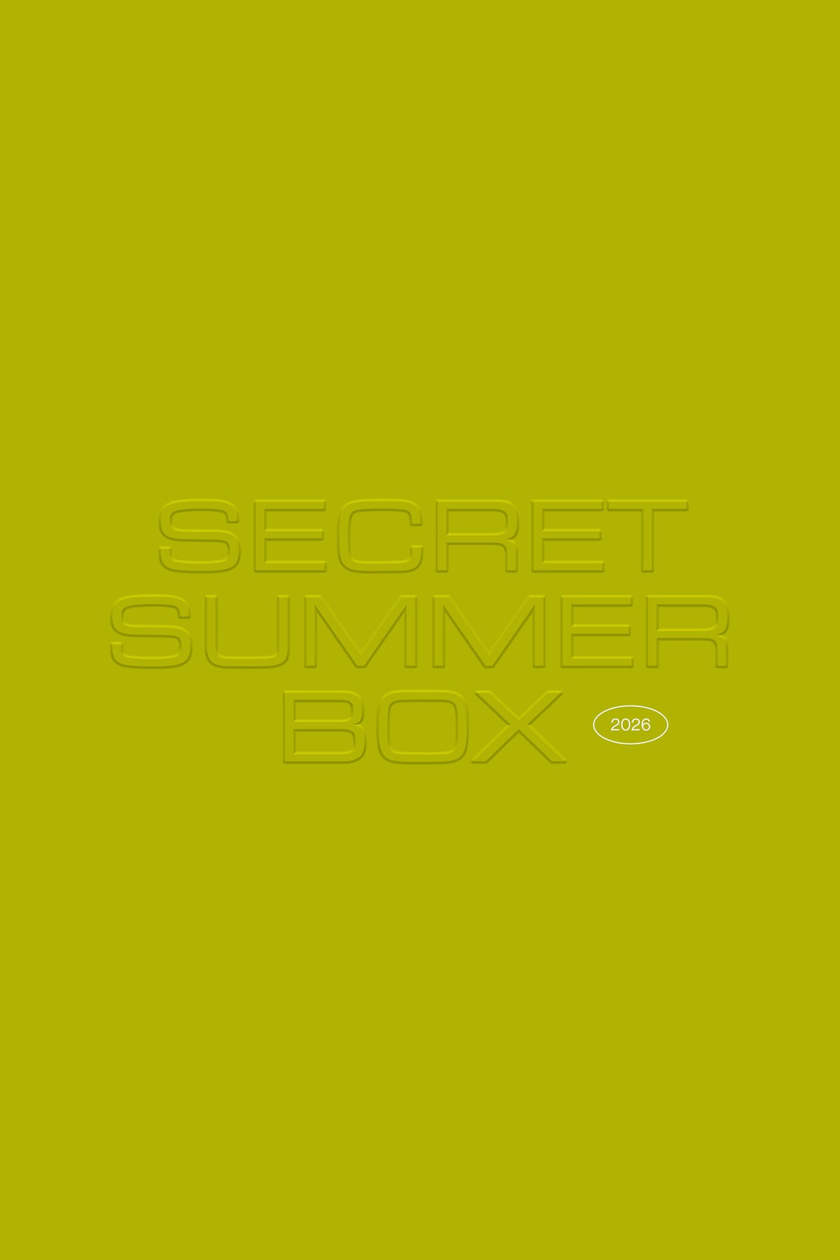The Secret Summer Box