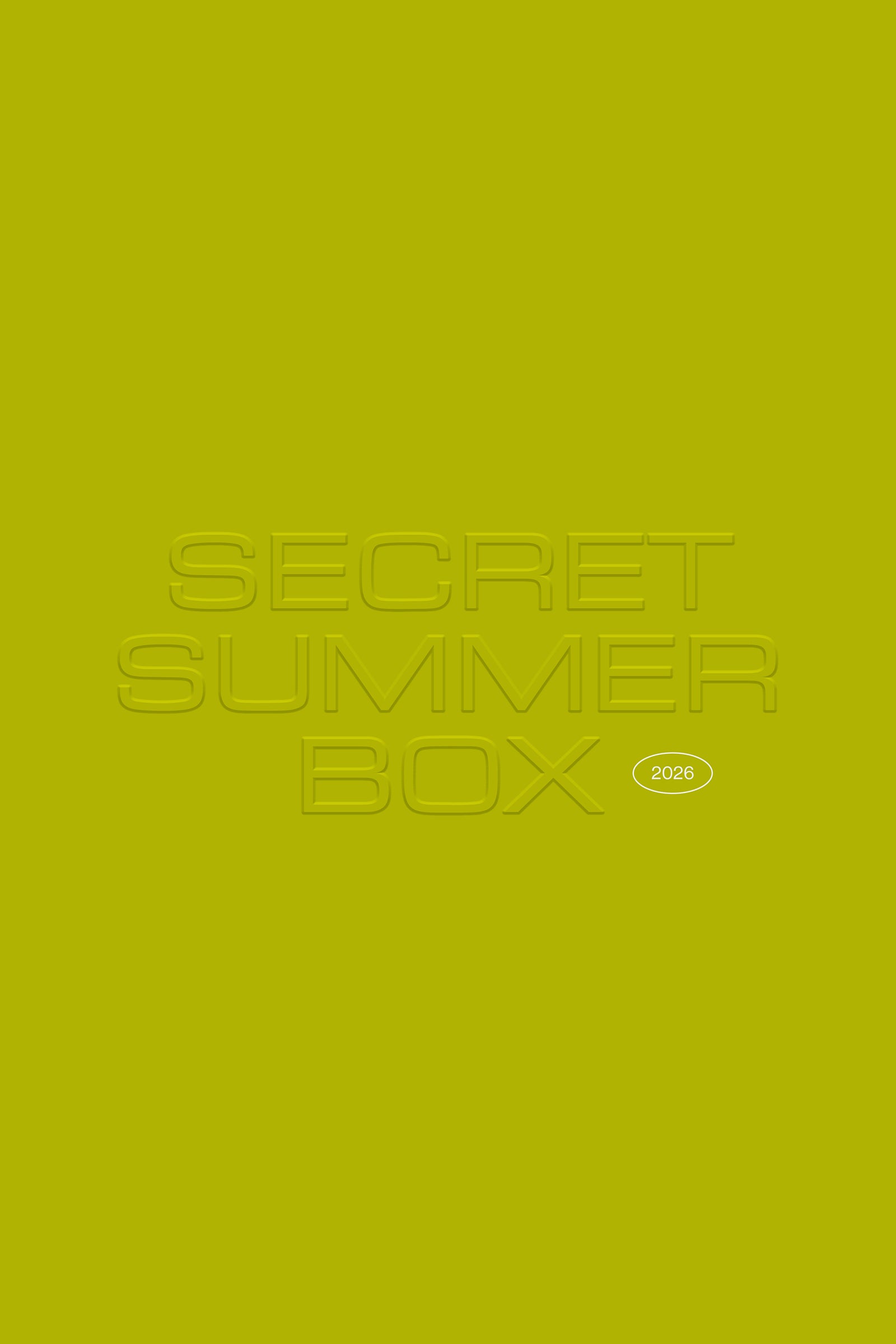 The Secret Summer Box
