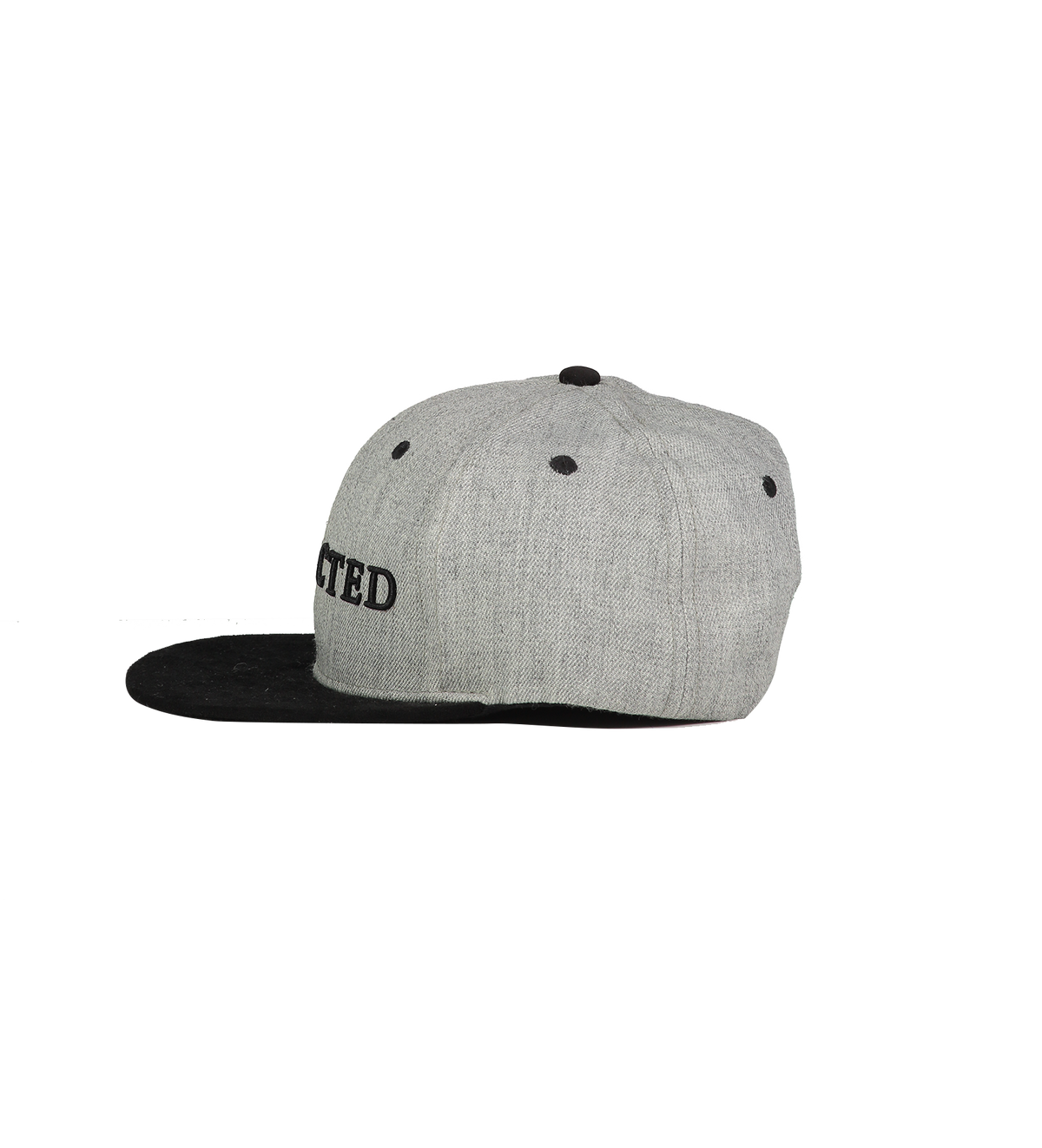 Campus Snapback
