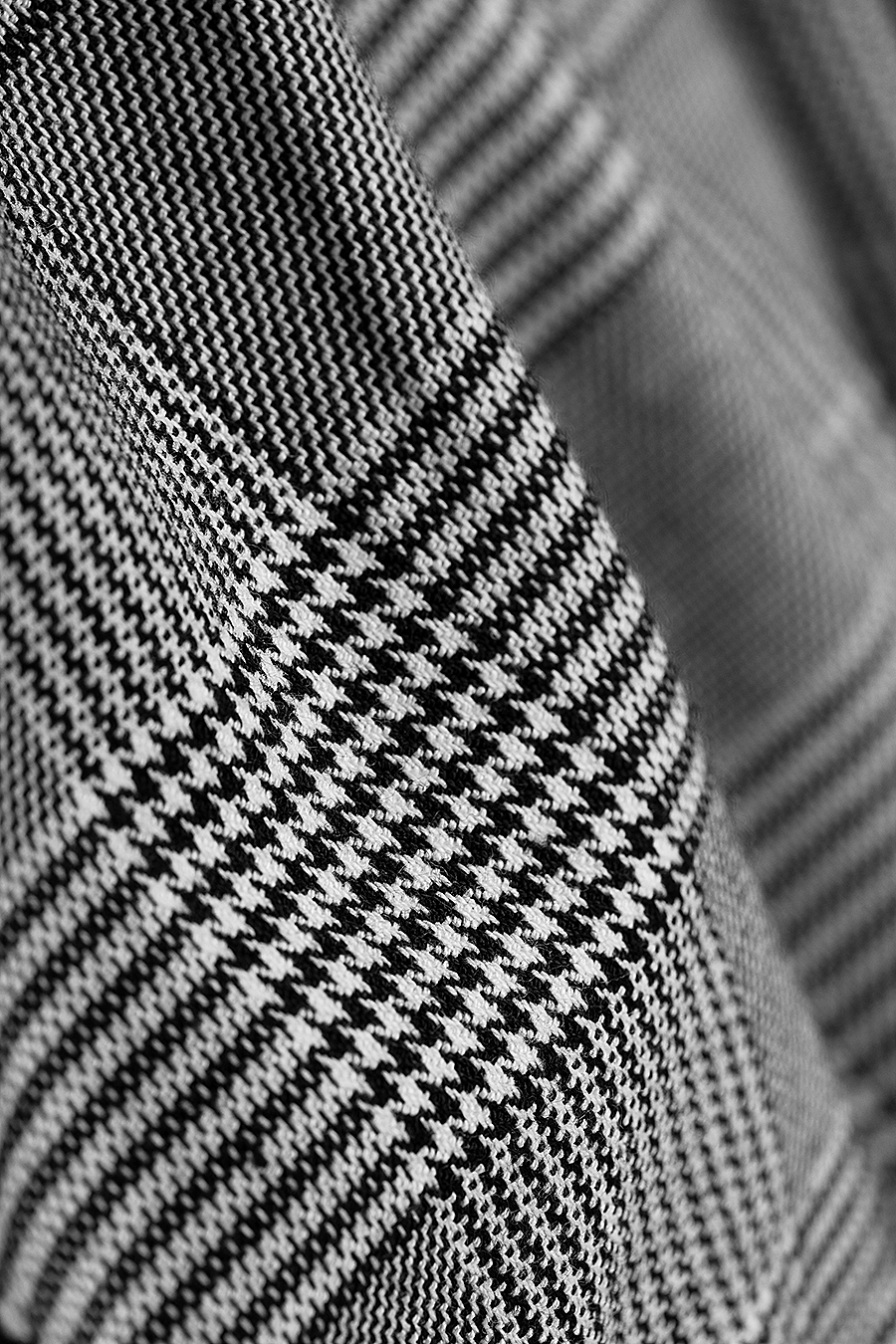 Division Pants — Light Check